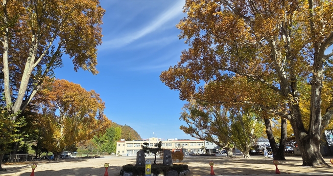 ▲ 임고초등학교 전경