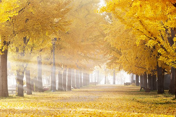 클립아트코리아 제공