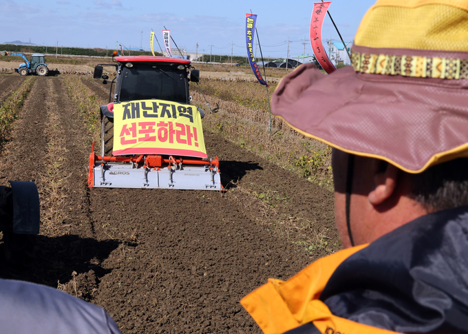 ▲ 지난달 27일 전북 김제시 부량면의 한 논콩 재배지에서 농민들이 논콩을 갈아엎는 트랙터를 보며 한숨짓고 있다. 이날 농민들은 집회를 열고 “9월 장마로 인한 논콩 피해를 추가 조사하고, 김제시를 특별재난지역으로 선포해달라”고 촉구했다.연합