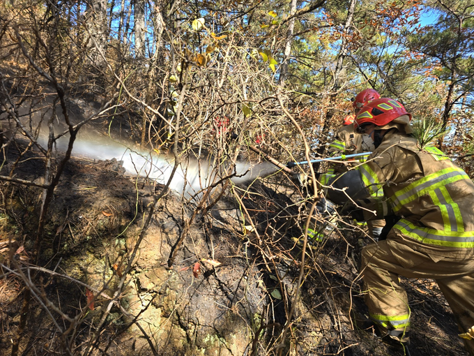 ▲ 19일 의성군 구천면 장국리 야산에서 의성소방서 대원들이 급경사 지대의 잔불을 찾아 수관 사이로 호스를 깊숙이 넣어 진화 작업을 벌이고 있다. 의성소방서