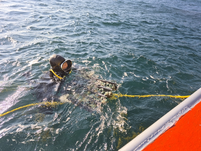 ▲ 산불피해지역 회복을 위한 전목방류 노물리와 경정 1,2,3리