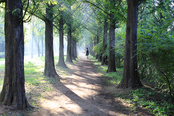 클립아트코리아 제공
