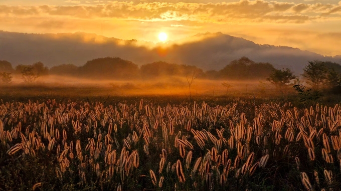 ▲ ‘제4회 갤럭시 사진공모전’에서 구미 부문 대상작 ‘강정습지 일출경’