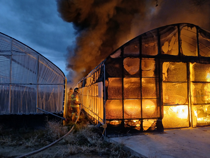 ▲ 22일 새벽 의성군 안평면에서 발생한 비닐하우스 화재 현장에서 소방대원이 거세게 번지는 불길을 맞대며 호스를 이용해 벽체 쪽으로 직접 진화를 시도하는 모습이 긴박하게 담겼다. 의성소방서