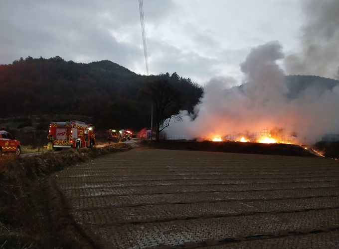 ▲ 22일 새벽 경북 의성군 안평면 괴산리에서 출동한 소방대원들이 들판 너머 불길이 치솟는 비닐하우스 화재 현장으로 진입하며 초기 대응에 나서는 장면이 어스름한 새벽빛 속에 포착됐다. 의성소방서