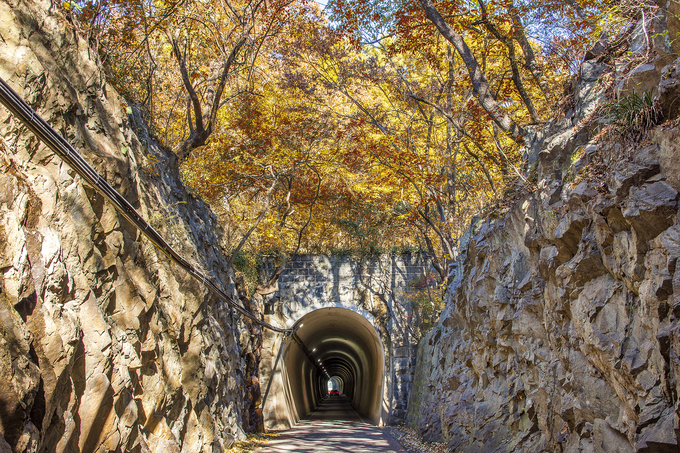 ▲ 23일 오전 경남 밀양시 용평동 용평터널 내부와 주변의 가을풍경이 아름다워 드라이브 명소로 떠오르고 있다. 용평터널은 1905년 경부선 개통 때 사용되던 철도로 1940년에 새로운 터널이 뚫리면서 철도가 이설됐고, 현재는 차량·보행자 통행이 가능한 1차선 일반 도로 터널로 사용되고 있다. 특히 터널 중간에 하늘이 보이는 개방된 구간이 있어 독특하고 신비로운 분위기를 자아낸다. 서영기 객원기자
