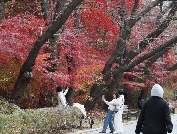 ▲ 포근한 날씨를 보인 23일 과천 서울대공원에서 나들이객들이 기념 촬영하고 있다. 연합