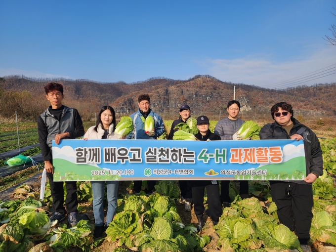 ▲ 20일 경북 의성군 단촌면 관덕리 과제포에서 의성군4-H연합회 청년농업인들이 직접 수확한 배추를 들고 기부 준비 활동을 함께 촬영하며 순환형 나눔 농업의 현장을 보여줬다. 의성군