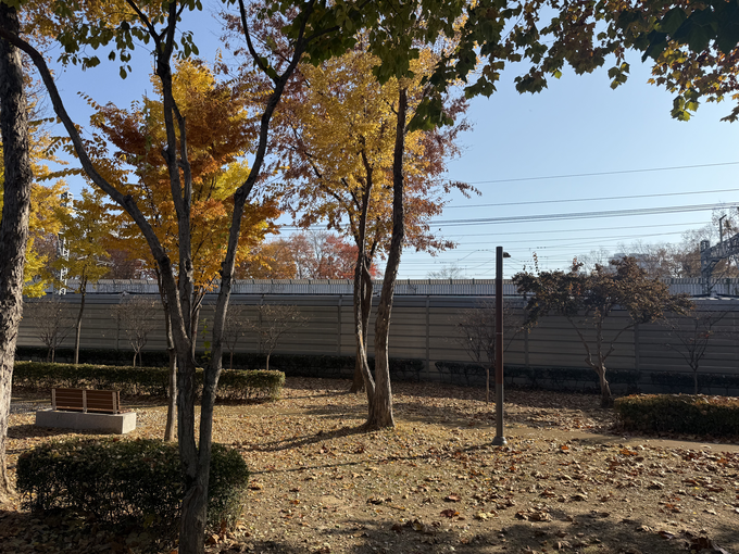 ▲ 24일 오전 대구 서구 비산7동 일대에 철도 소음을 방지하기 위해 방음벽이 설치돼 있는 모습. 이유경 기자