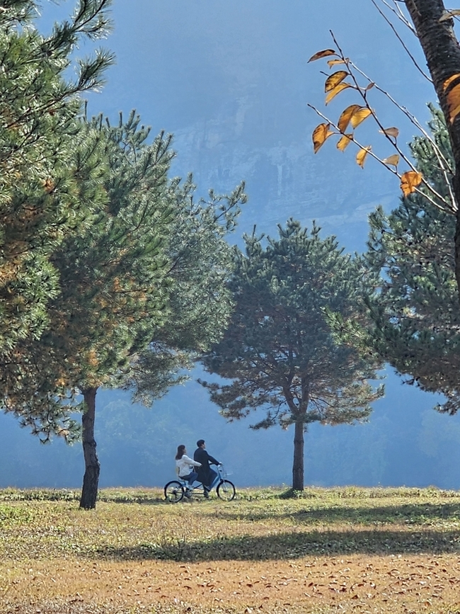 ▲ 상주시가 1박 2일로 진행한 ‘데이트 온 상주-시즌2 가을캠프’  2일차인 23일 경천섬에서 진행된 체험형 데이트에서 참가자들이 2인용 자전거로 데이트를 진행하고 있다. 상주시 제공