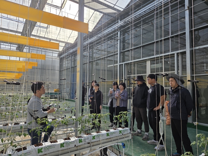 ▲ 봉화 임대형 스마트팜단지 입주를 앞둔 예비 입주농 교육생들이 실습교육에 참여해 교육에 열중하고 있다.(자료 사진)