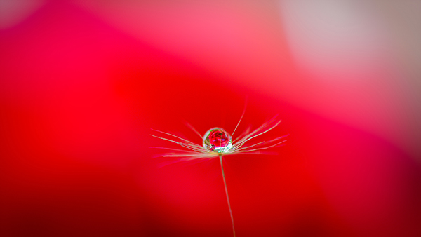 클립아트코리아 제공
